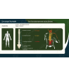 Support de formation PRAP - prévention des risques liés à l'activité physique - Support de cours PRAP - Support PRAP